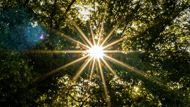 Sun burst